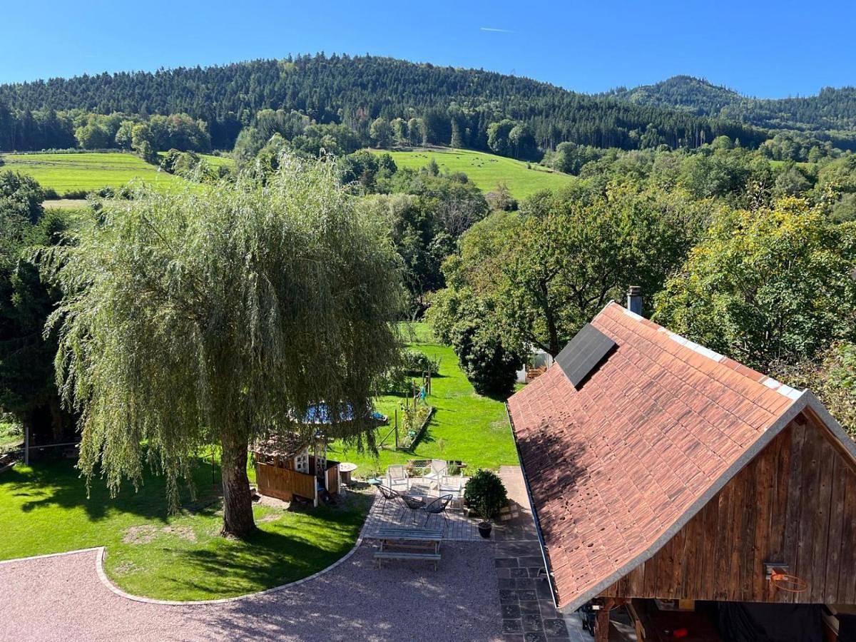 Appartement entier, Le nid des mésanges, vallée de Villé in Steige, Région de Sélestat-Erstein