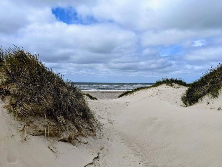 Ferienhaus für 10 Personen, mit Terrasse und Pool sowie Sauna, mit Haustier in Henne Strand - 4