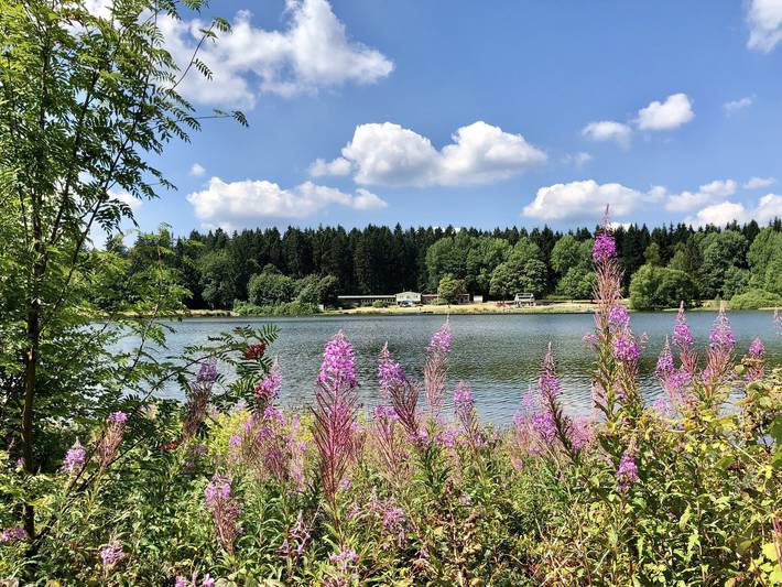 Ferienhaus für 4 Personen, mit Terrasse und Garten in Clausthal-Zellerfeld - 4
