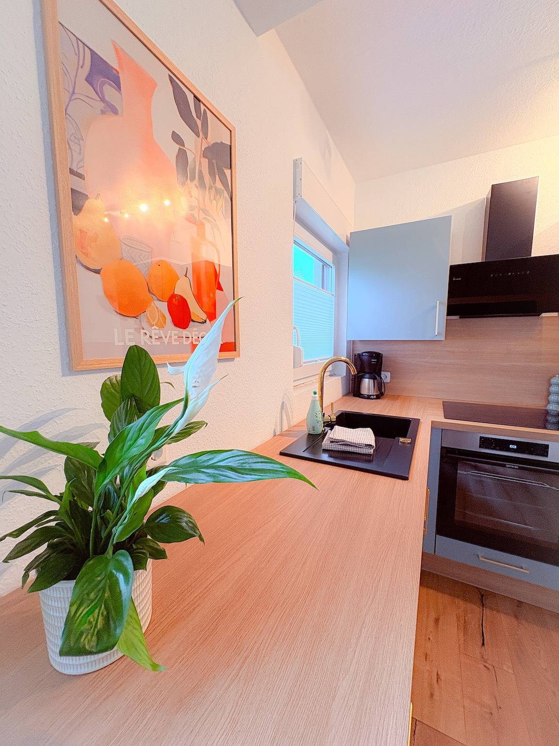 Ferienhaus 'Landhaus Holly' mit privater Terrasse, Wlan und Klimaanlage in Silbersee, Frielendorf