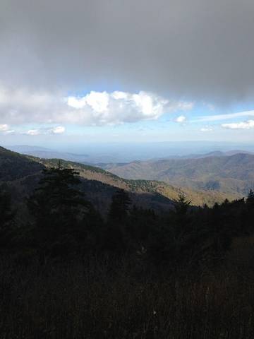 Glamping for 5 Guests in Blue Ridge Mountains, North Carolina, Picture 1