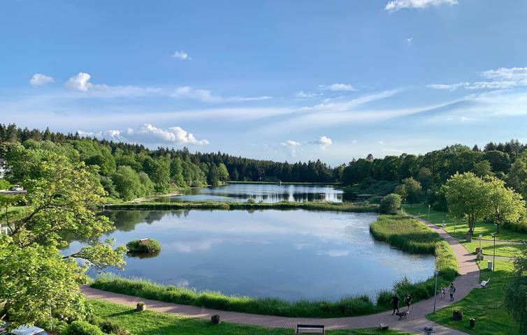 Ferienwohnung für 3 Personen, mit Balkon und Seeblick in Goslar