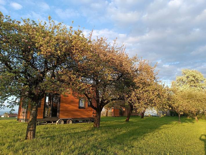 Bauernhof für 3 Personen, mit Garten in Oberösterreich - 3