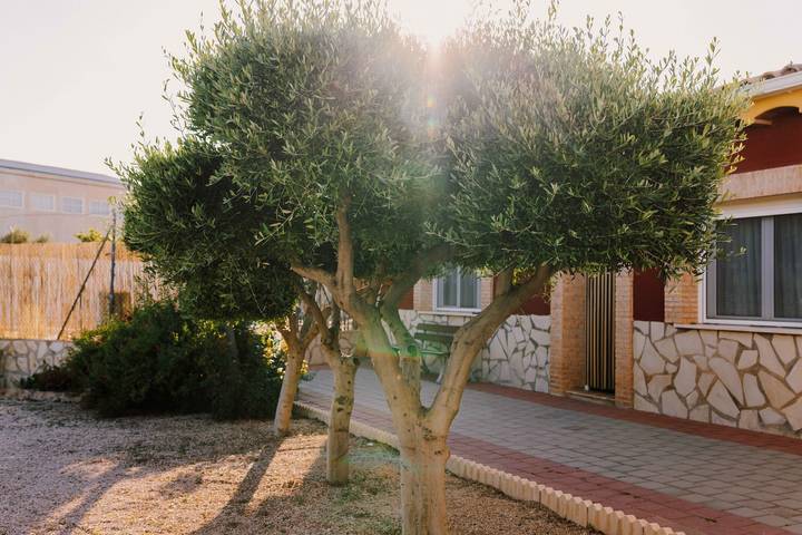 Casa rural para 6 personas, con Jardín y Piscina para niños en Caravaca de la Cruz