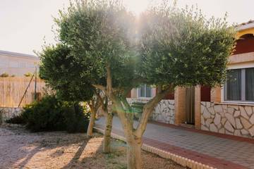 view of accommodation
