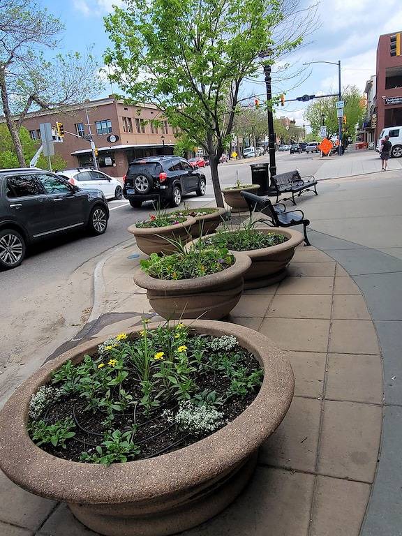 Camping für 6 Personen in Longmont, Colorado