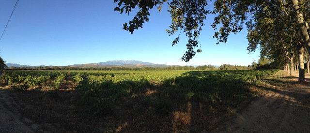 Chambre d’hôte pour 2 personnes, avec jardin dans les Pyrénées-Orientales - 3