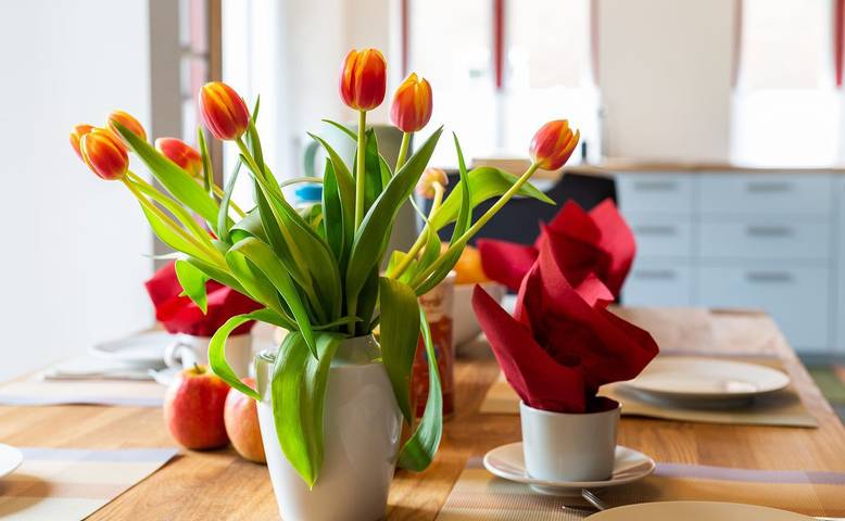 Ferienhaus für 4 Personen, mit Terrasse und Garten in Boren - 2