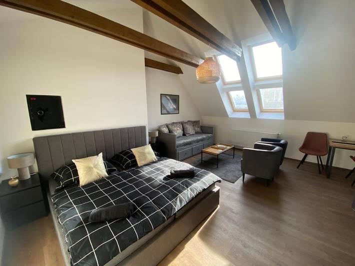 Ferienwohnung für 4 Personen, mit Ausblick in Pilsen