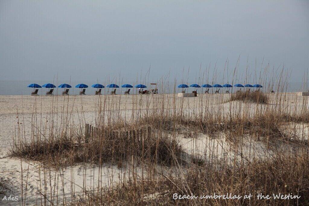 Vacation Home for 6 Guests in Folly Field, Port Royal Plantation