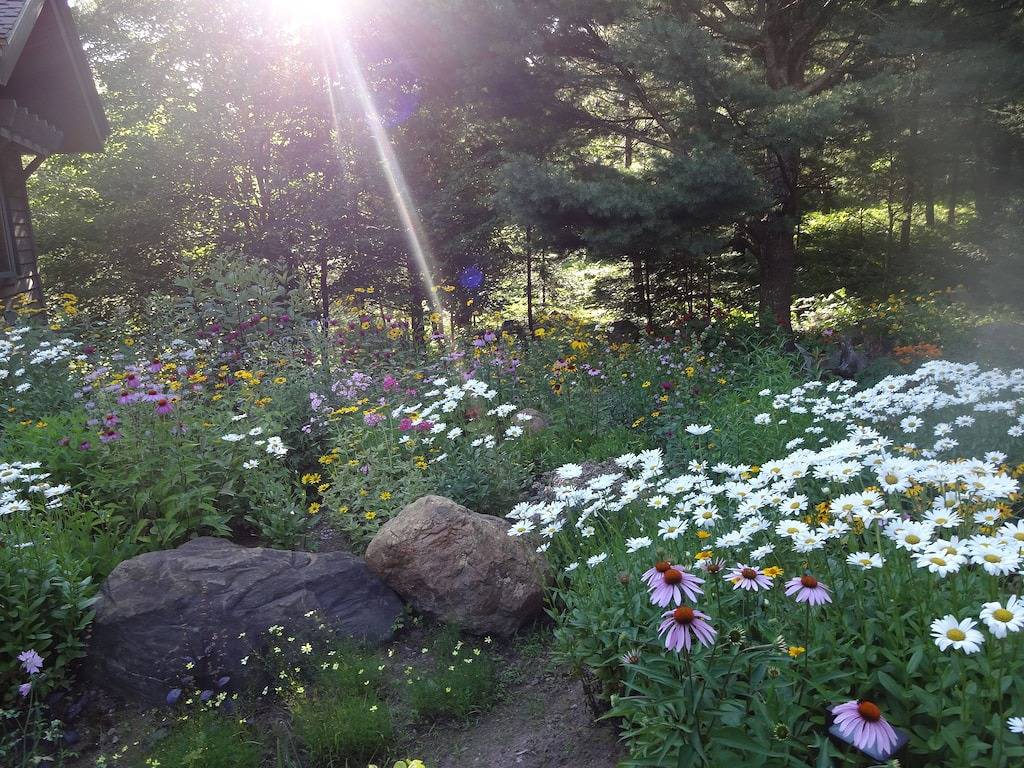 Forest Gardens Getaway ist ein Bed & Breakfast im schönen Up! in Gogebic County
