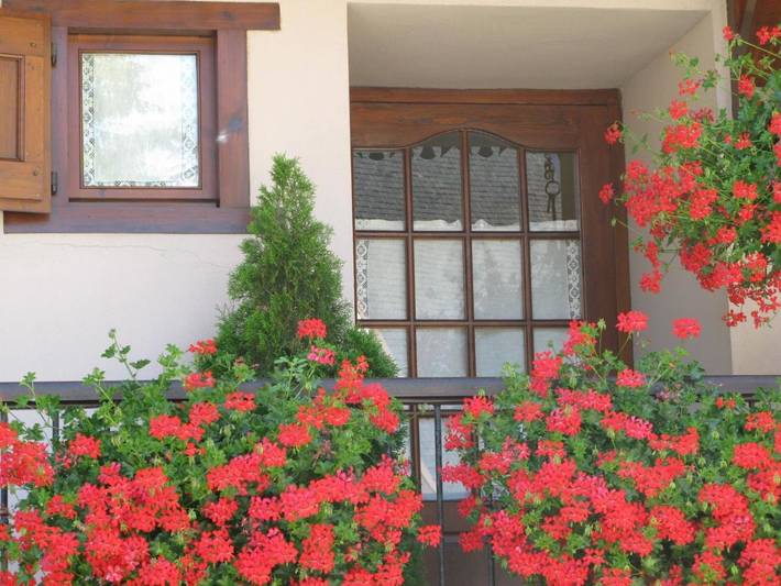 Hôtel pour 2 personnes, avec jardin et vue dans Arties - 4