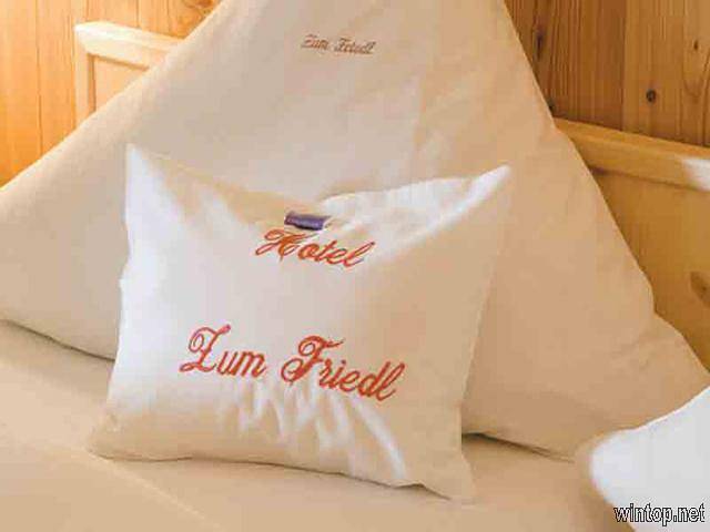 Hotel für 3 Personen, mit Balkon und Balkon/Terrasse sowie Terrasse und Garten in Sankt Oswald-Riedlhütte - 4