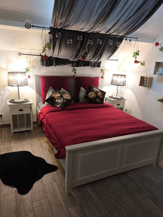 Chambre d’hôte pour 3 personnes, avec jardin et vue, animaux acceptés en Alsace - 4