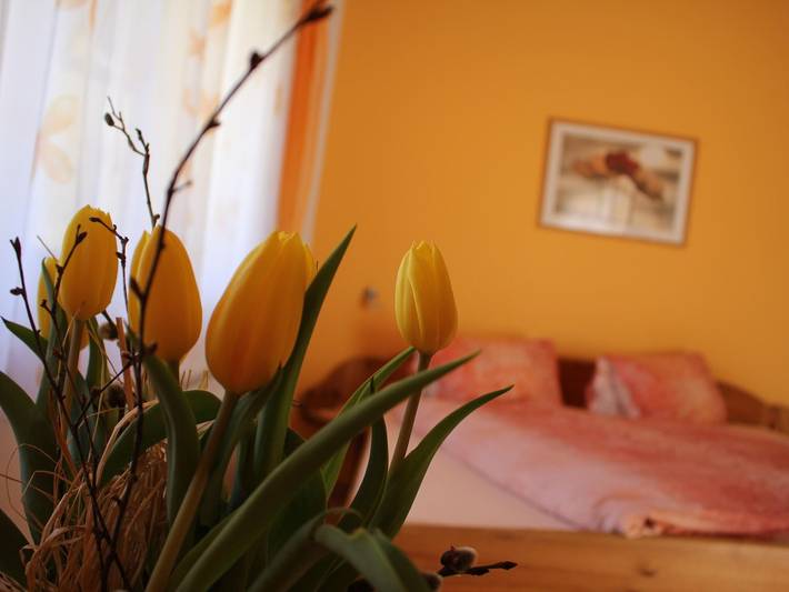 Hütte für 2 Personen, mit Balkon und Garten am Großglockner - 4