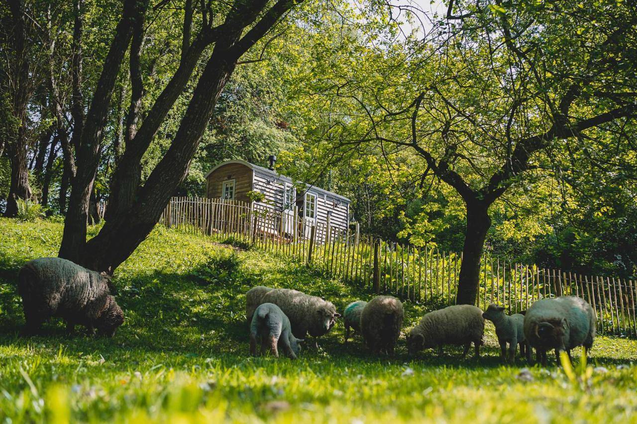 Somerset Shepherds Huts in Winsham, Somerset