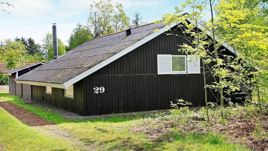 Vakantiehuis voor 6 personen, met whirlpool en terras, met huisdier in Denemarken
