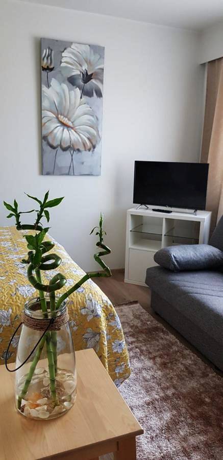 Ganze Wohnung, Suojalantie 4 in Heinävesi, Südsavo