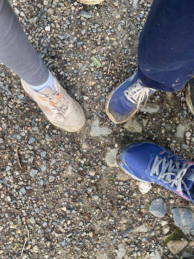 Location de vacances pour 14 personnes, avec jardin, animaux acceptés à Drulhe - 3