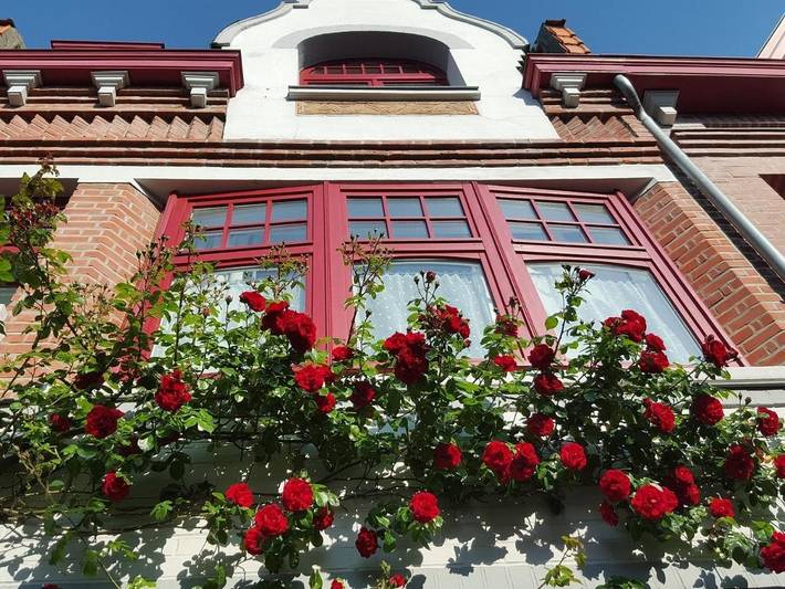 B&b, con Balcone e Terrazza nonché Giardino a Lille