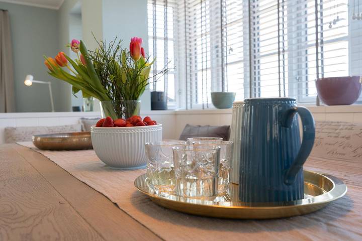Ferienhaus für 6 Personen, mit Terrasse und Garten sowie Sauna in Borgsum - 3