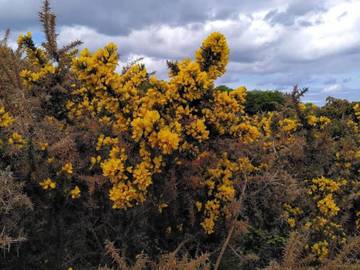 Feriehus til 5 Personer i Rørvig, Odsherred, Bilde 4
