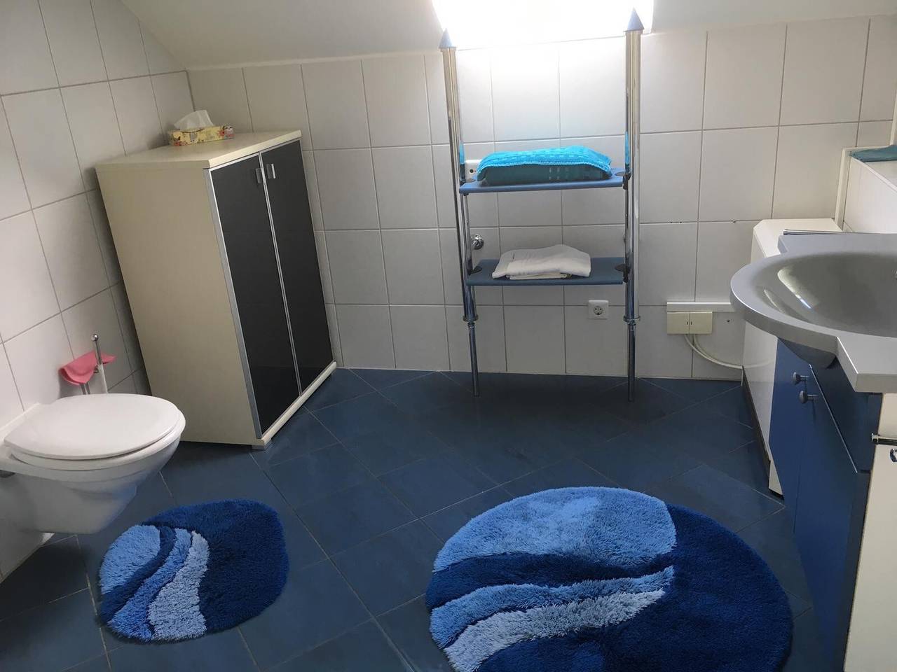 Entire apartment, Holiday Apartment "Haus Dachsberg 331 Todtmoos" with Balcony & Wi-Fi in Todtmoos, Southern Black Forest
