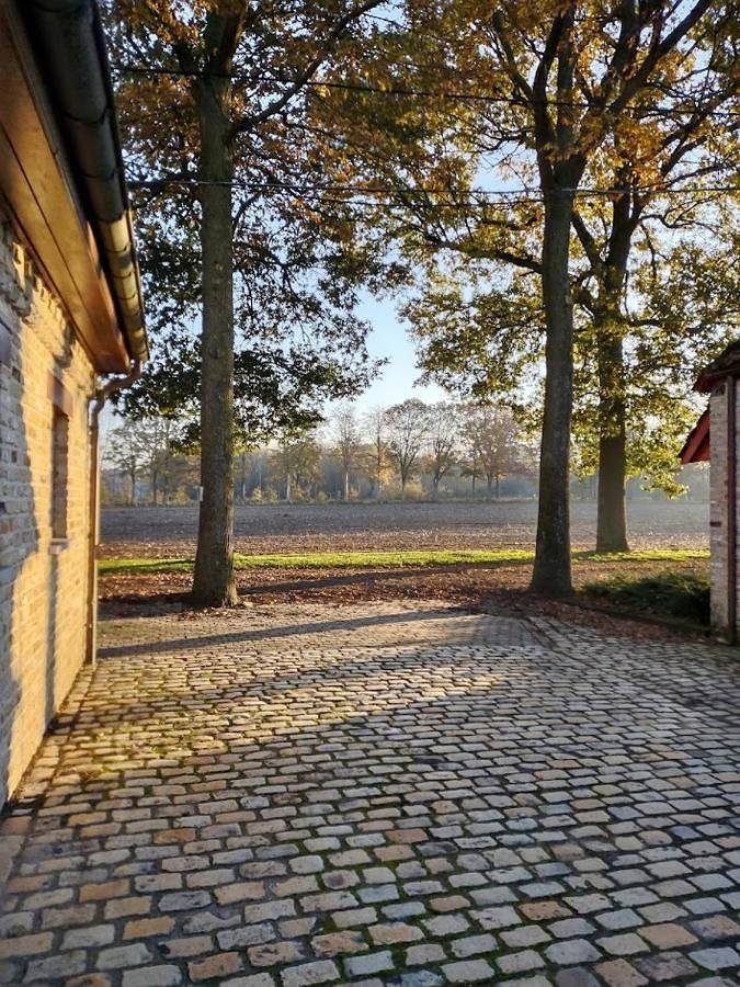 Chambre d’hôte pour 4 personnes, avec Terrasse ainsi que Jardin et Vue à Zedelgem