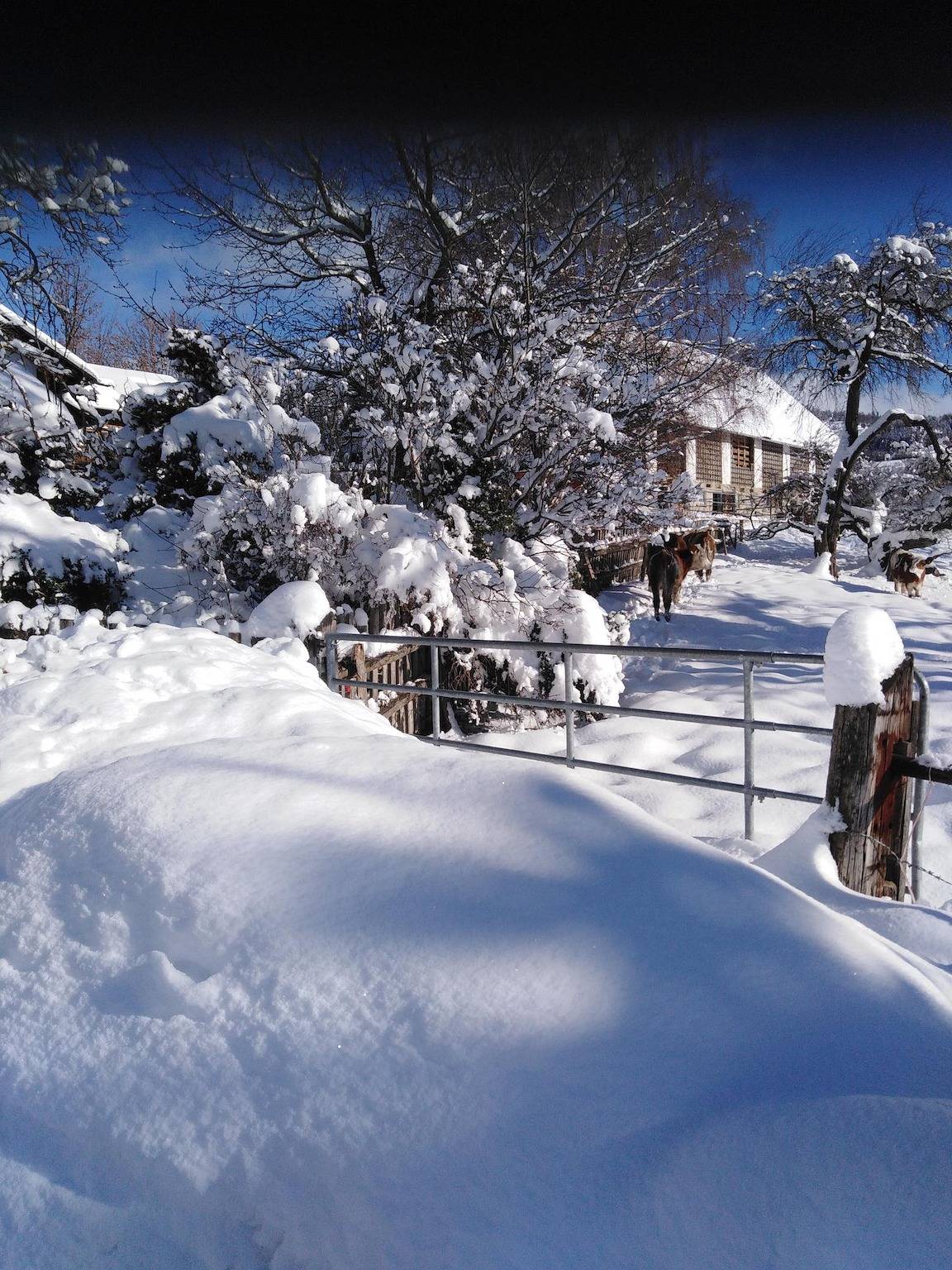 Ferienwohnung Kalkberg in Mariahof, Westliche Obersteiermark