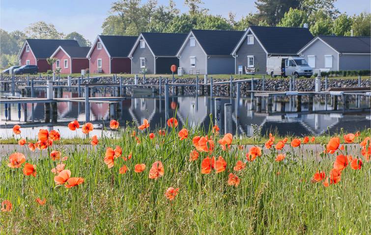 Ferienhaus für 6 Personen, mit Garten und Terrasse in Naturpark Barnim - 4