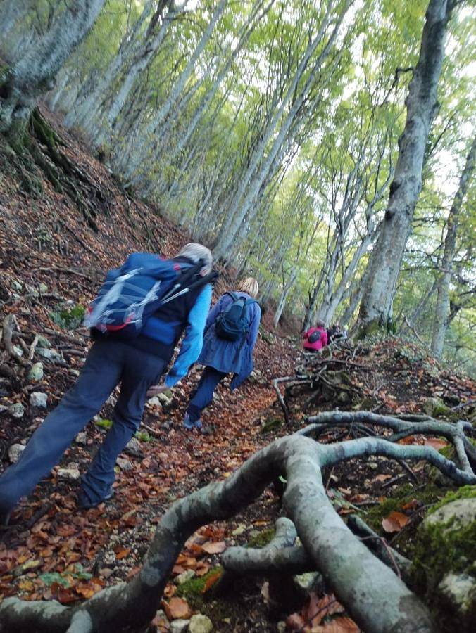 Location de vacances pour 2 personnes, avec jardin et vue, animaux acceptés à Cingoli - 4