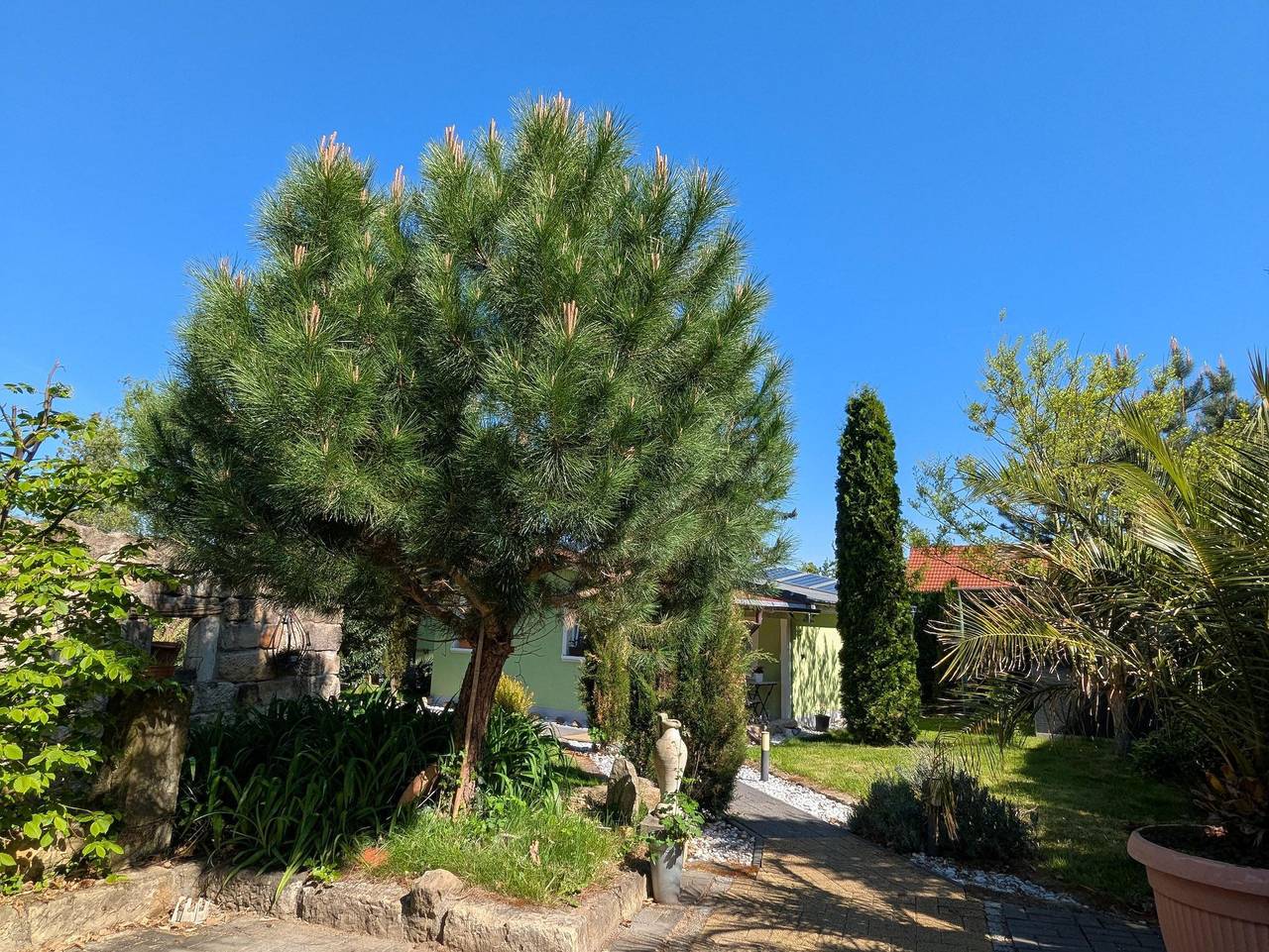 Ferienhaus Königsnase - Ferienhaus, 2 Schlafräume in Struppen, Elbsandsteingebirge