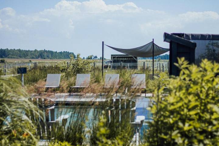 Hôtel pour 2 personnes, avec piscine et jardin ainsi que jacuzzi et sauna, animaux acceptés dans Baie-Saint-Paul - 4