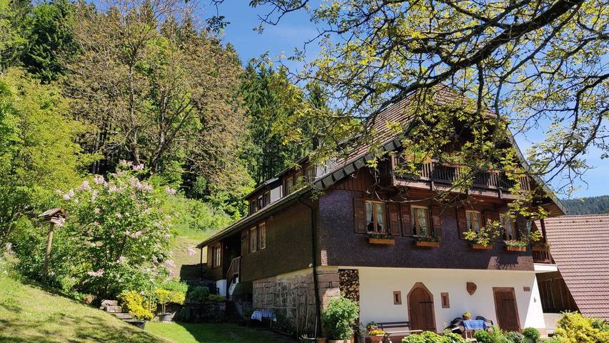 Ferienwohnung für 4 Personen, mit Garten, kinderfreundlich in Bad Rippoldsau-Schapbach