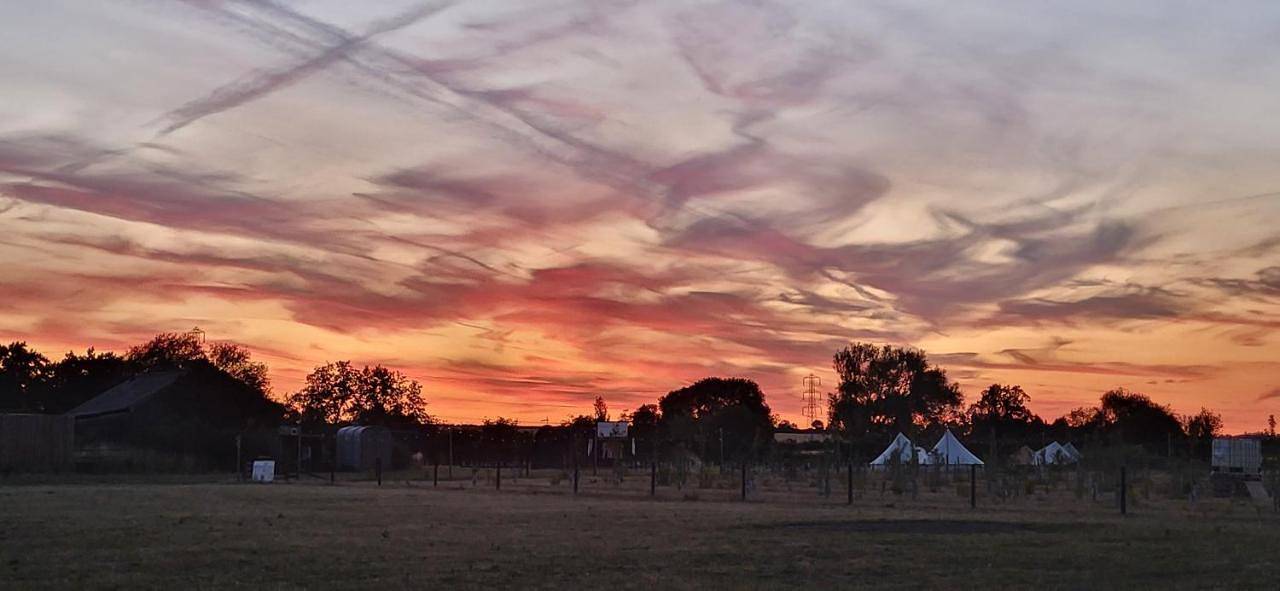 Brackenxcapes Glamping in Sherwood Forest, Nottinghamshire