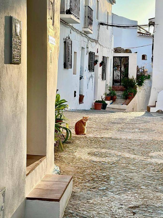 Casa rural para 2 personas, con terraza en Frigiliana - 2