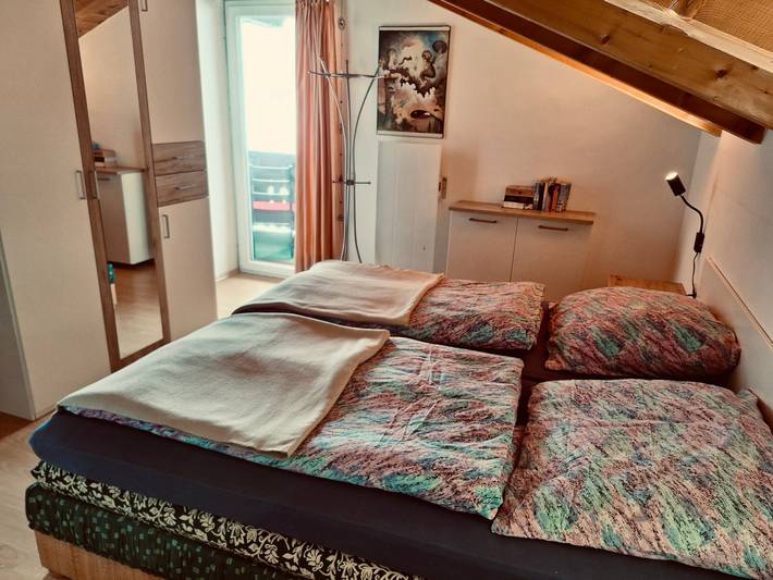 Entire apartment, Apartment near Zell am See, cozy with mountain view, Wi-Fi, and air conditioning in Gries im Pinzgau, Taxenbach