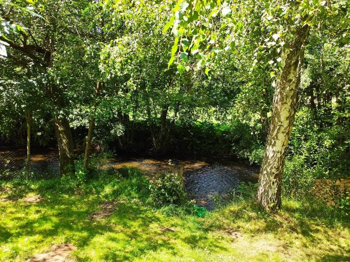 Gîte pour 2 personnes, avec jardin à Kirchberg - 4