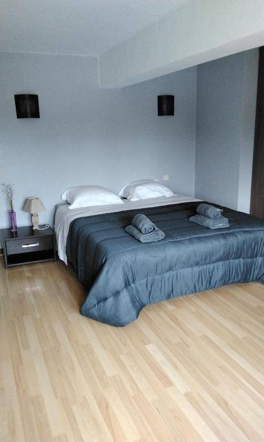 Location de vacances pour 4 personnes, avec jardin et vue à Saint-Galmier - 4