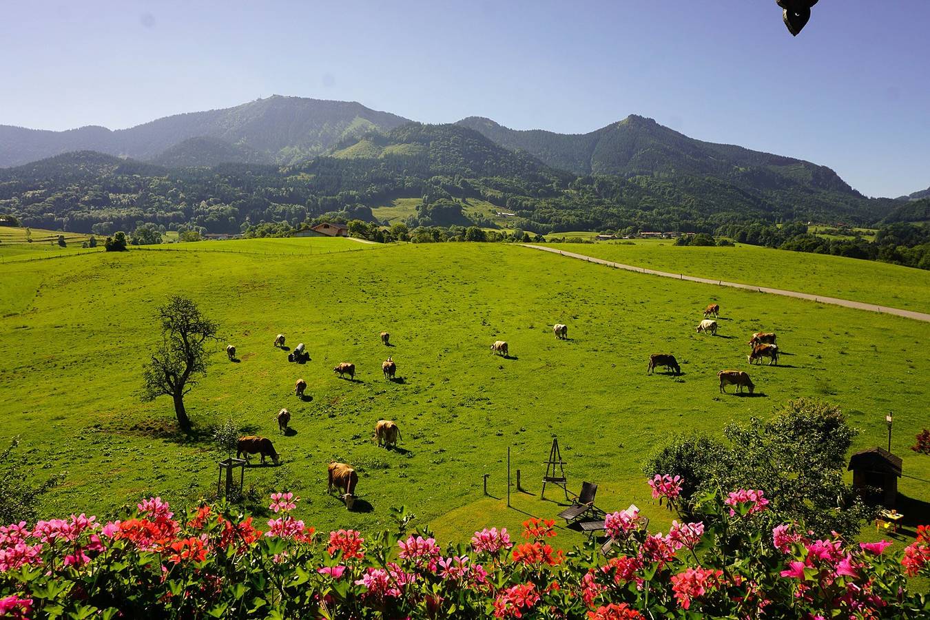 Ganze Ferienwohnung, Moserhof - Hofwohnung 65 qm mit 2 separaten Schlafzimmer, Wohnraum in Samerberg, Bayerische Alpen