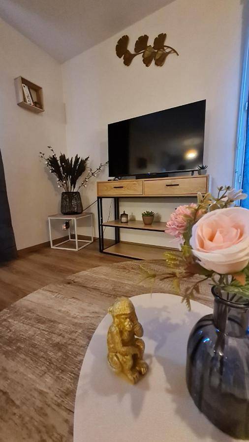 Appartement entier, Le Cosy Home in Oyonnax, Nantua