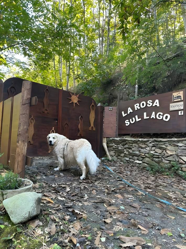 Casa vacanze 'La Rosa sul Lago' adatta agli animali domestici, con giardino privato, spa e Wi-Fi in Osiglia, Alpi Liguri