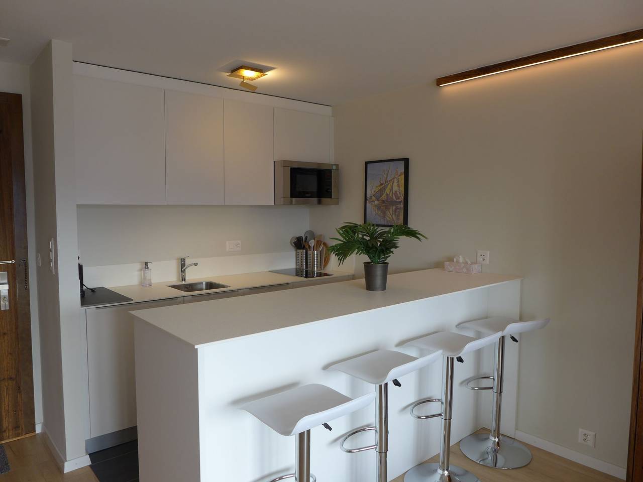 Ganze Wohnung, Elysée 29 in Randogne, Sion - Sierre & Umgebung