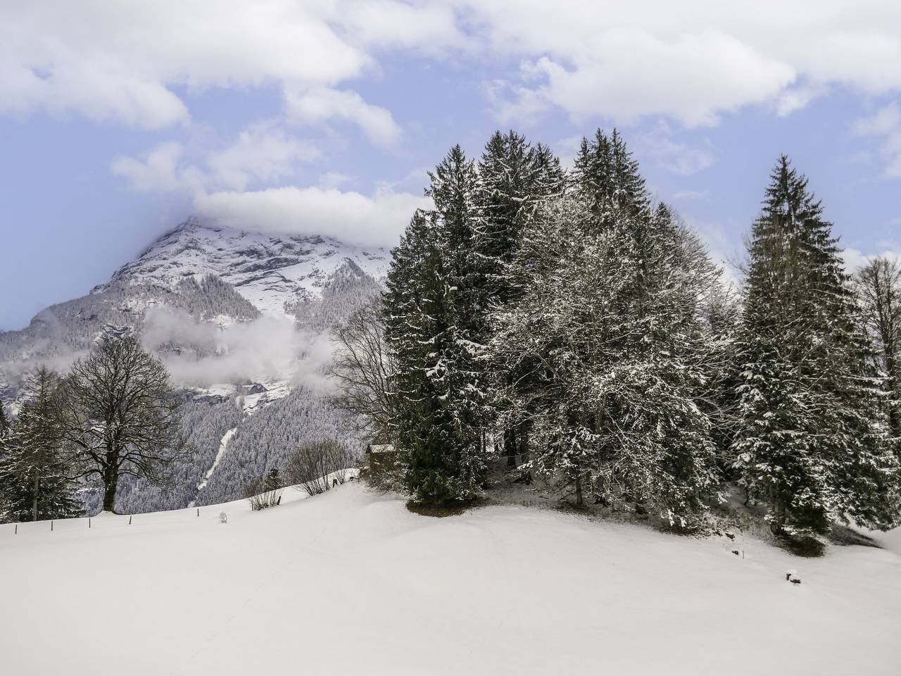 Ganze Wohnung, Chalet Grindelwaldgletscher in Grindelwald, Grindelwald und Umgebung