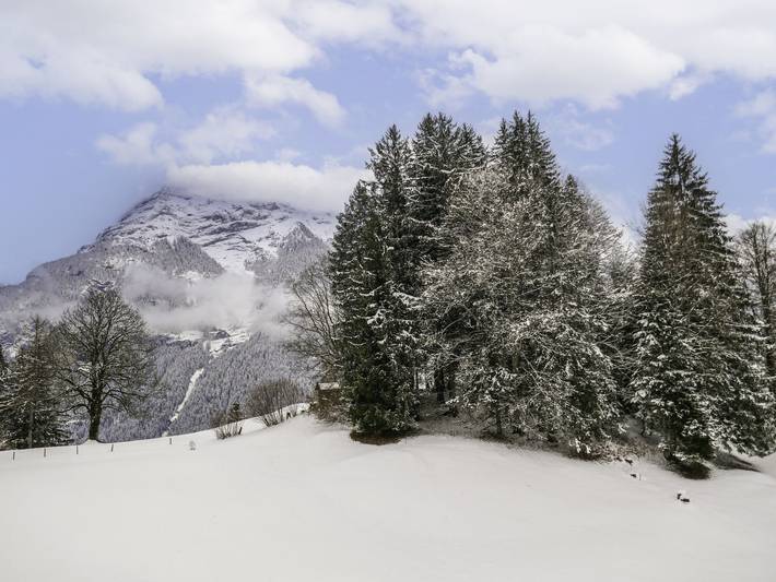 Gîte pour 6 personnes, avec balcon à Grindelwald - 2