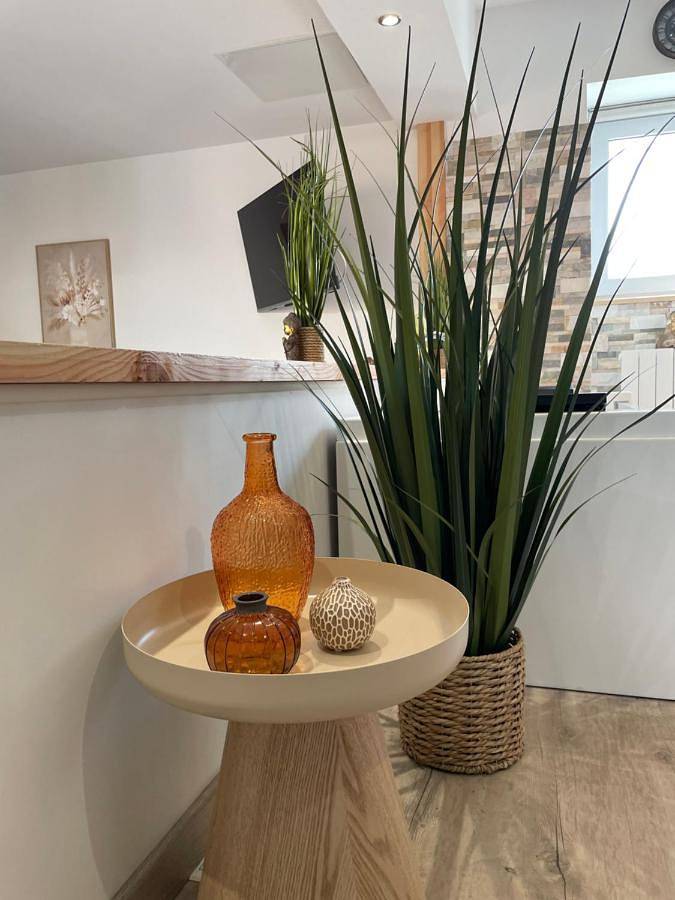 Double Room with Spa Bath in Saint-Savinien, Région de Saint-Jean-d'Angély