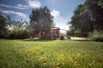 Gîte pour 3 personnes, animaux acceptés à Bourg-Saint-Andéol