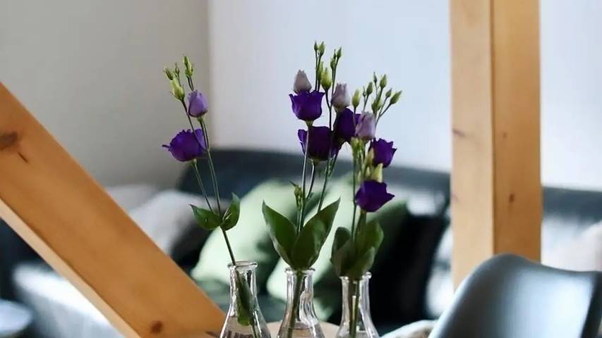 Ferienhaus für 5 Personen, mit Garten in Bad Harzburg - 4