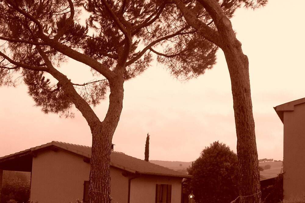 Farmhouse with wine cellar near the sea, Saturnia Spa and Nature Park in Magliano in Toscana, Grosseto Provinz