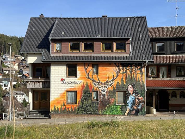 Hotel für 2 Personen, mit Sauna und Whirlpool sowie Balkon in Schonach im Schwarzwald - 4